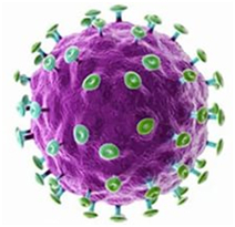 Mi a humán papillomavírus-fertőzés